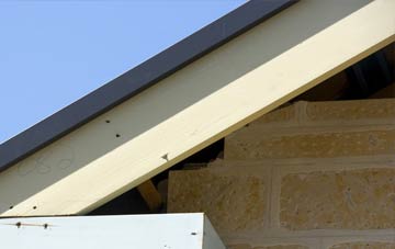 Dorset fascia repairs