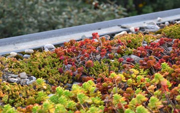 the cost of Dorset green roof installation