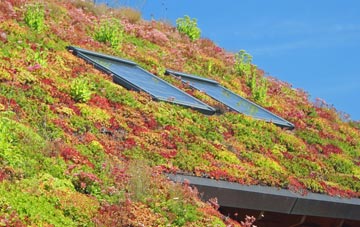 Dorset living roof systems