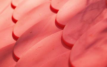 Dorset plastic roof costs