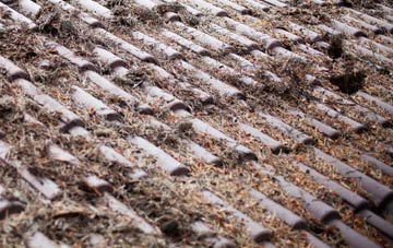 Dorset roof cleaning companies