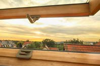 rated Dorset roof window companies